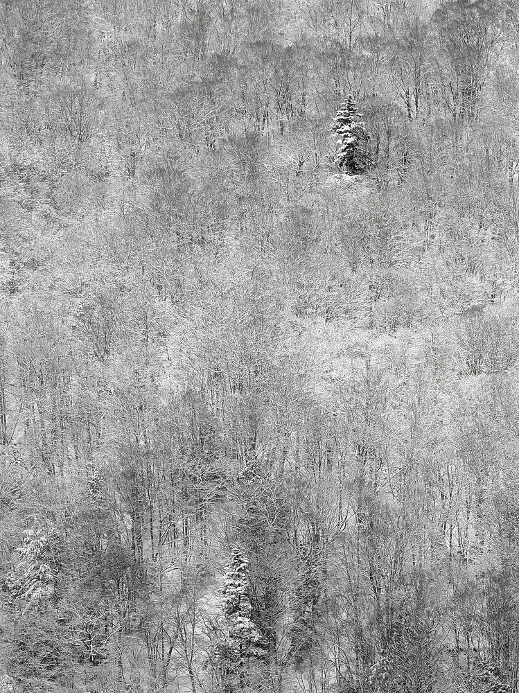 Photograph by Carlos Asensio Pizarro