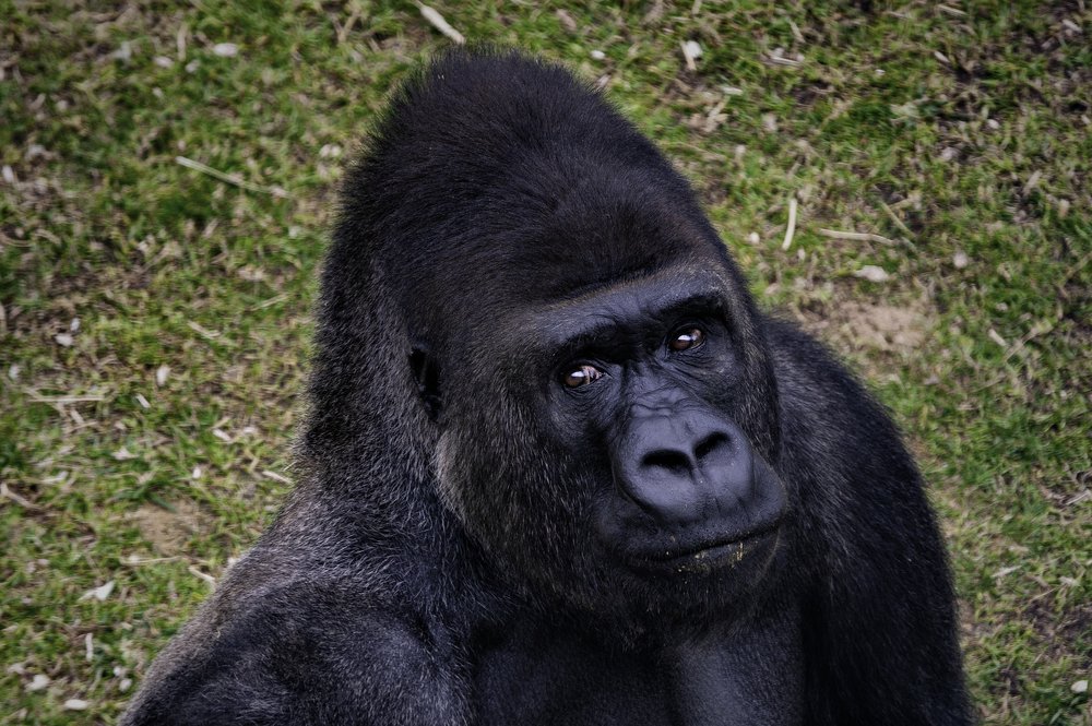 Photograph by Mark Frederick Jereos