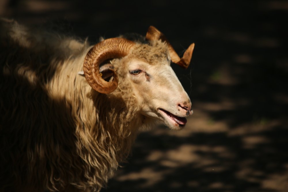 Фотография автора Andrej Levius