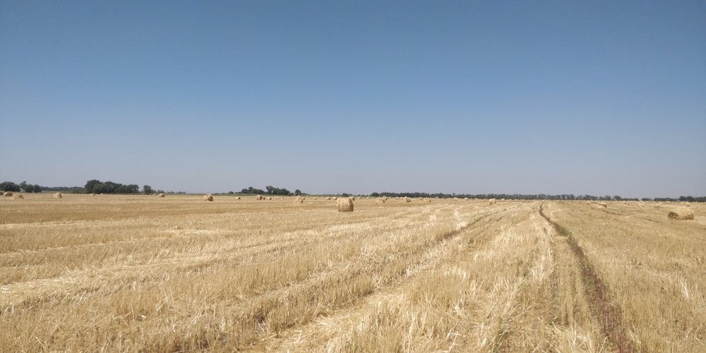 Photograph by Михаил Ноеренчук