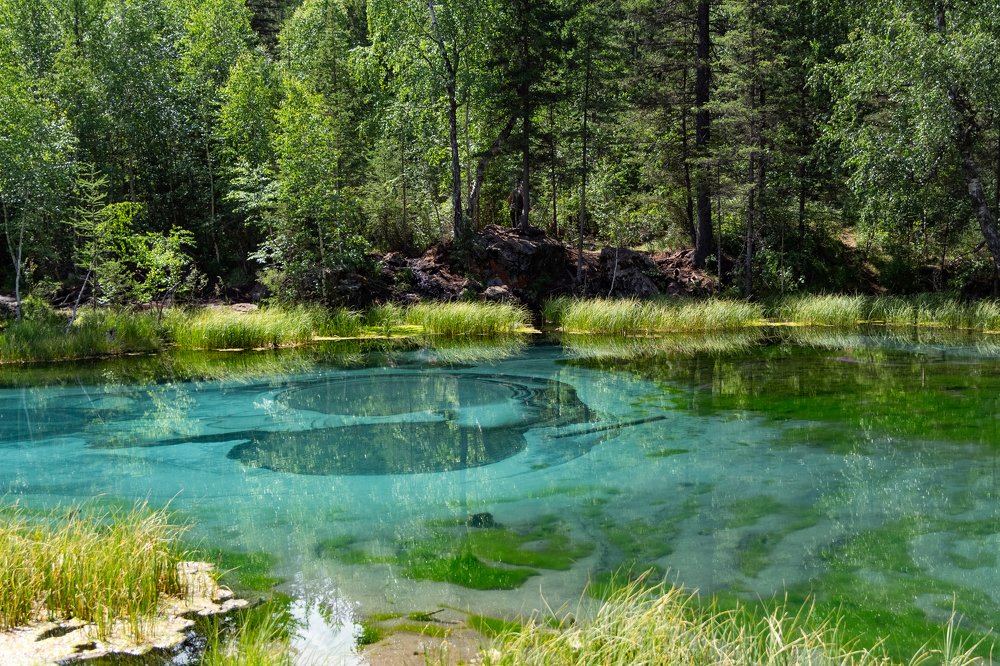 Photograph by Наталья Колодникова