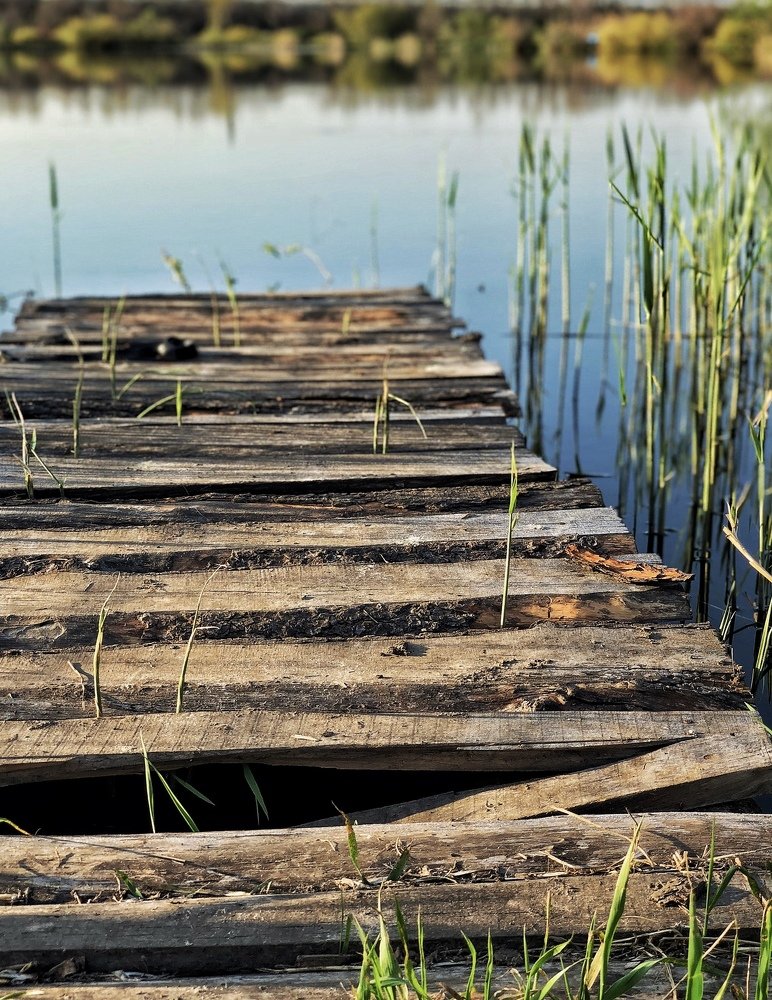 Photograph by Татьяна Пономарева