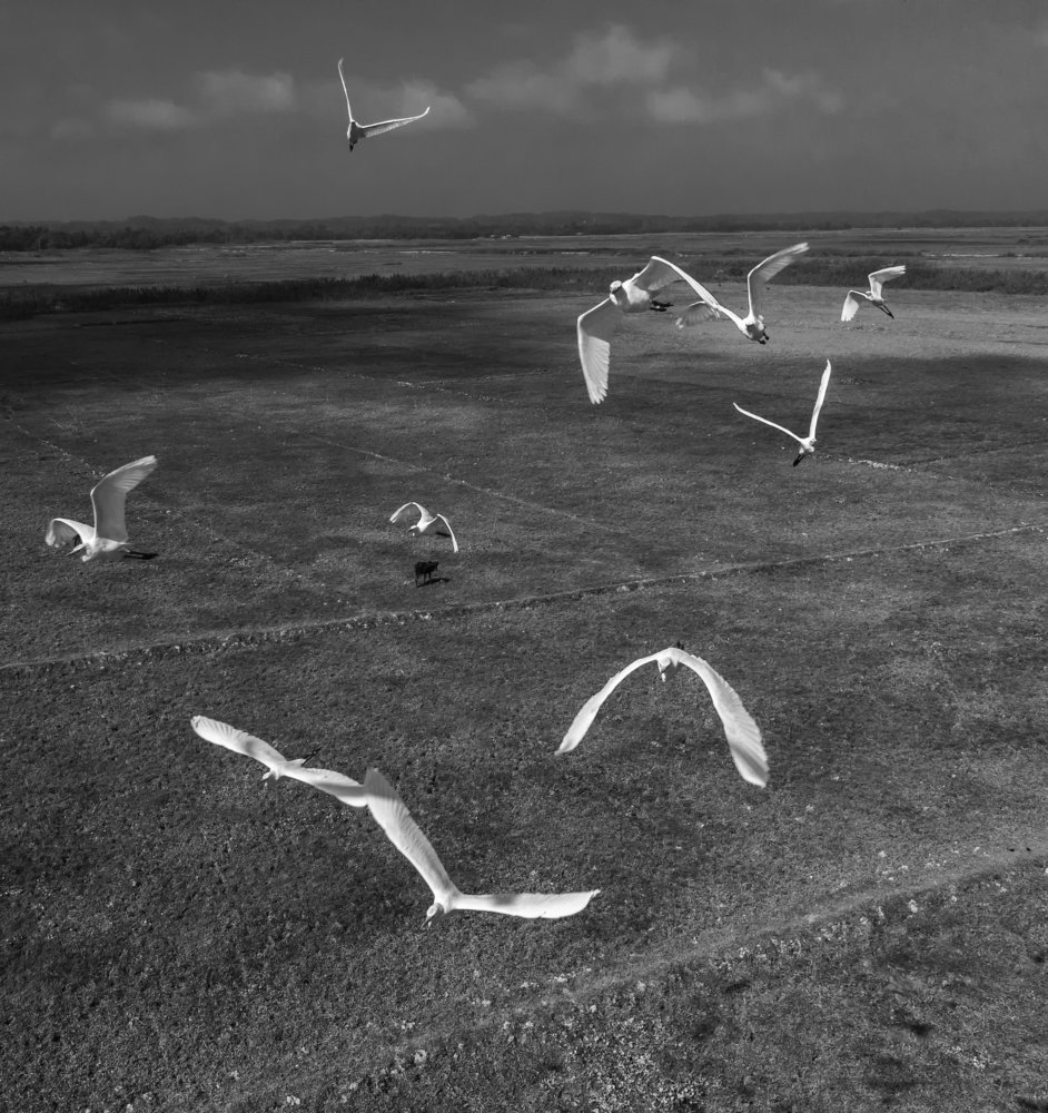 Photograph by Rasel Talukdar