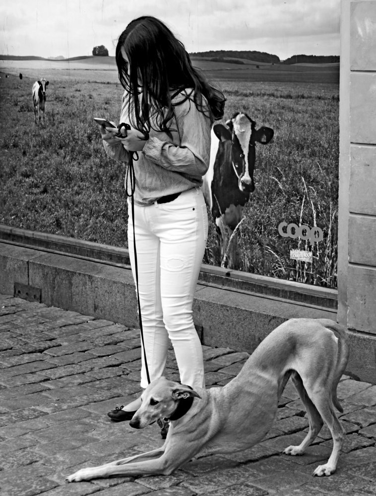 Фотография автора Сергей Барановский