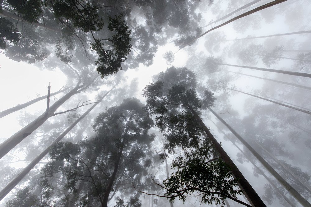 Photograph by Полина Зенькович