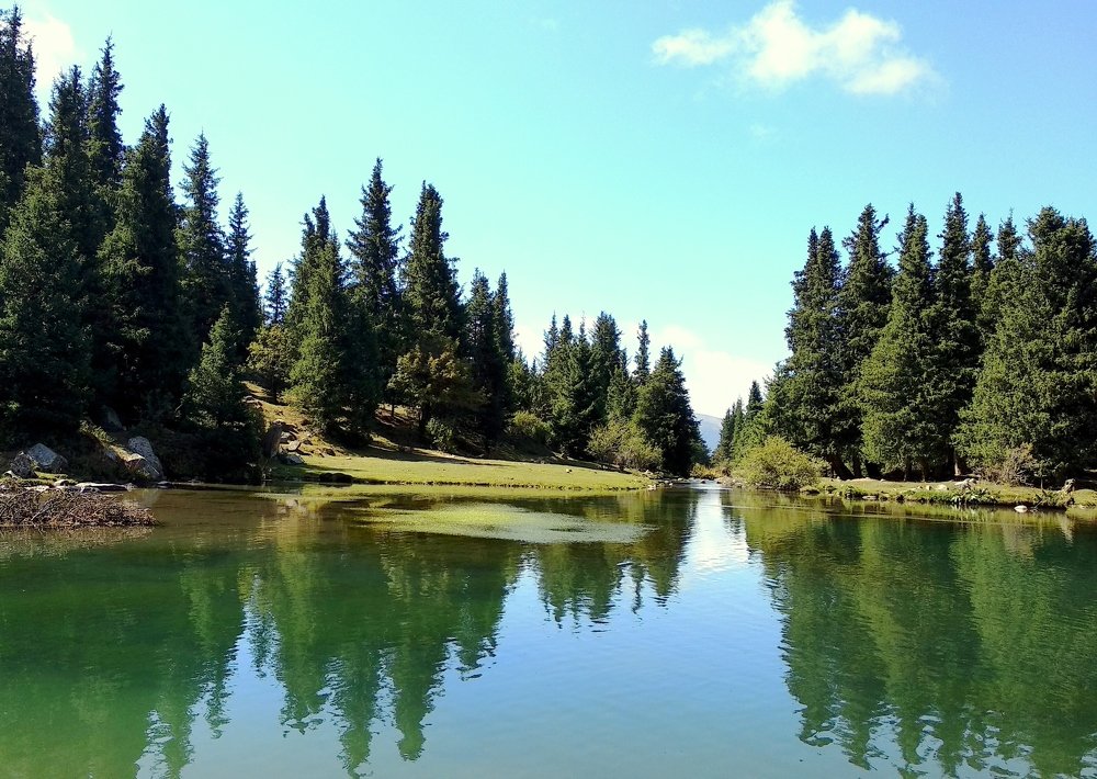 Photograph by Anetta Kopenkina