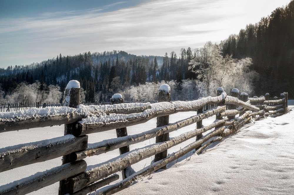 Photograph by Тамара Андреева