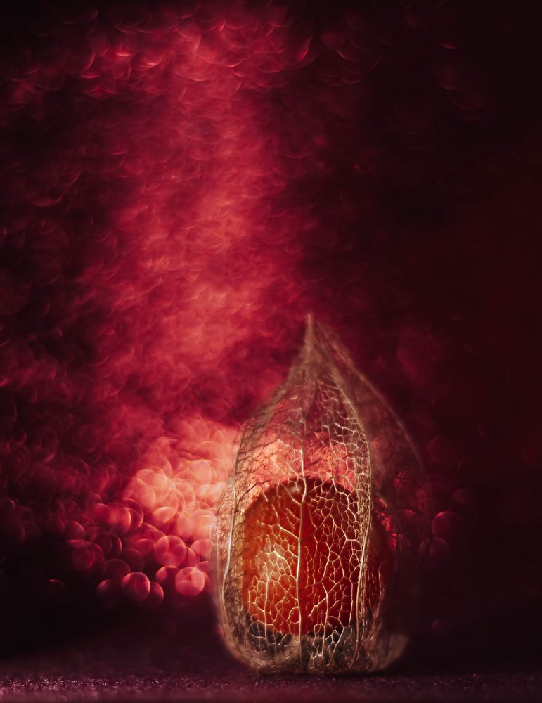 Photograph by Елена Мирзоева