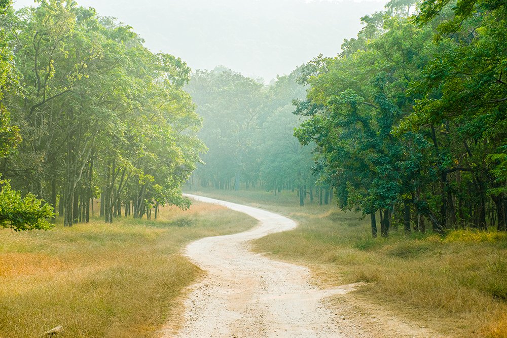 Photograph by Neeraj Gade