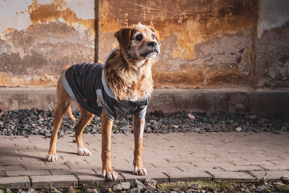 Photograph by Agne Speliene