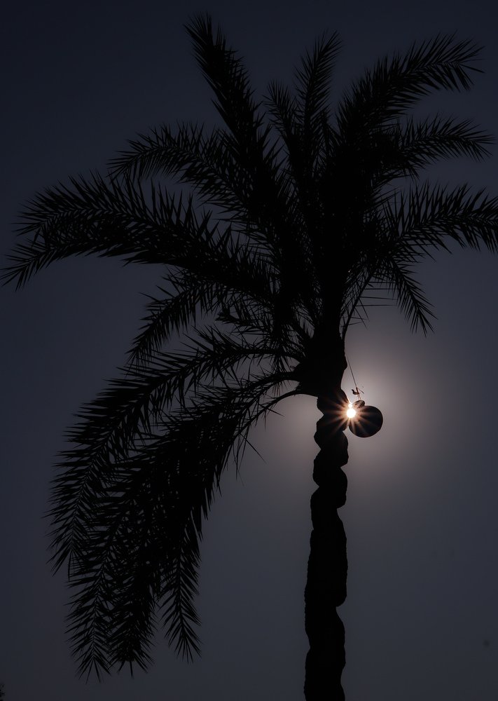 Photograph by Partho Kundu