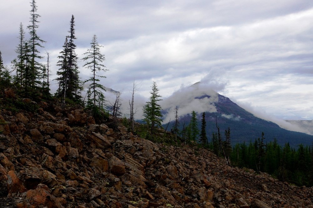 Суровый край