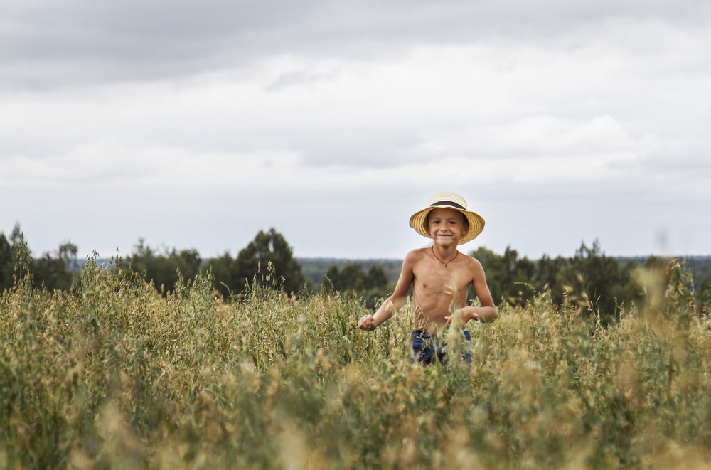 Деревенское лето