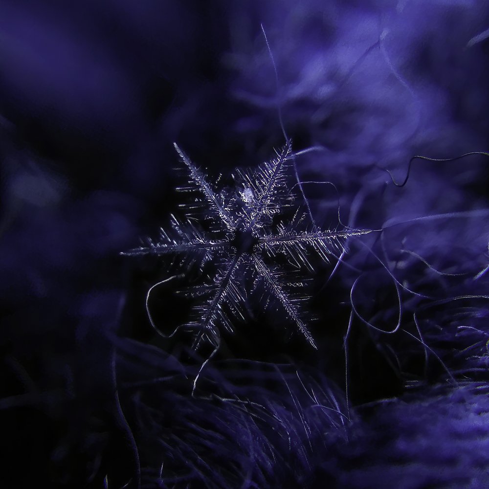 Фотография автора Наталья