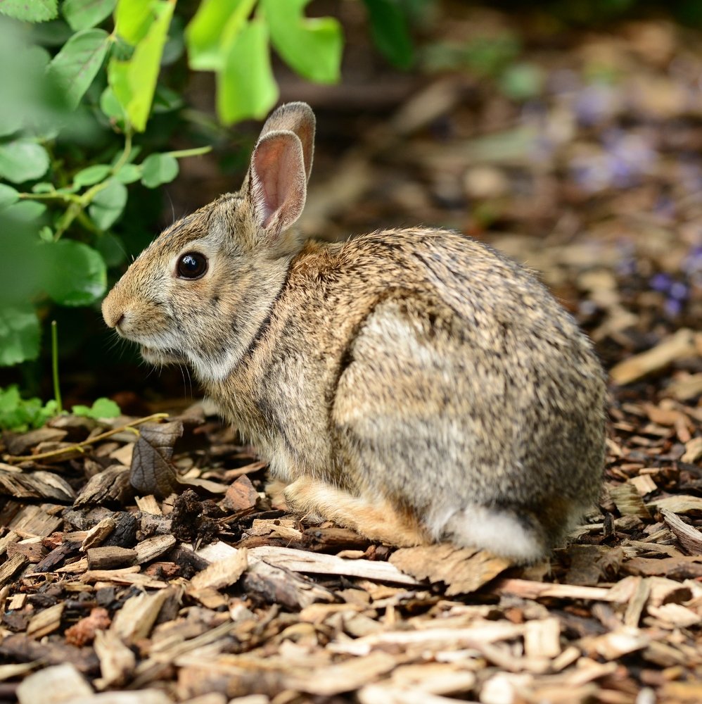 Photograph by Игорь