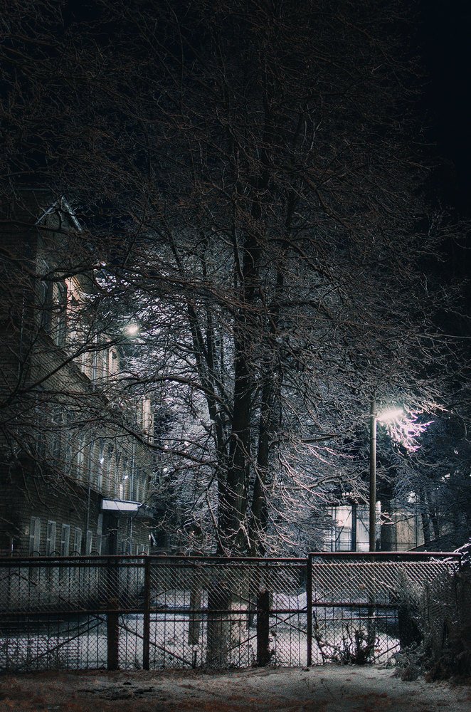 Photograph by Serguei Boukarev