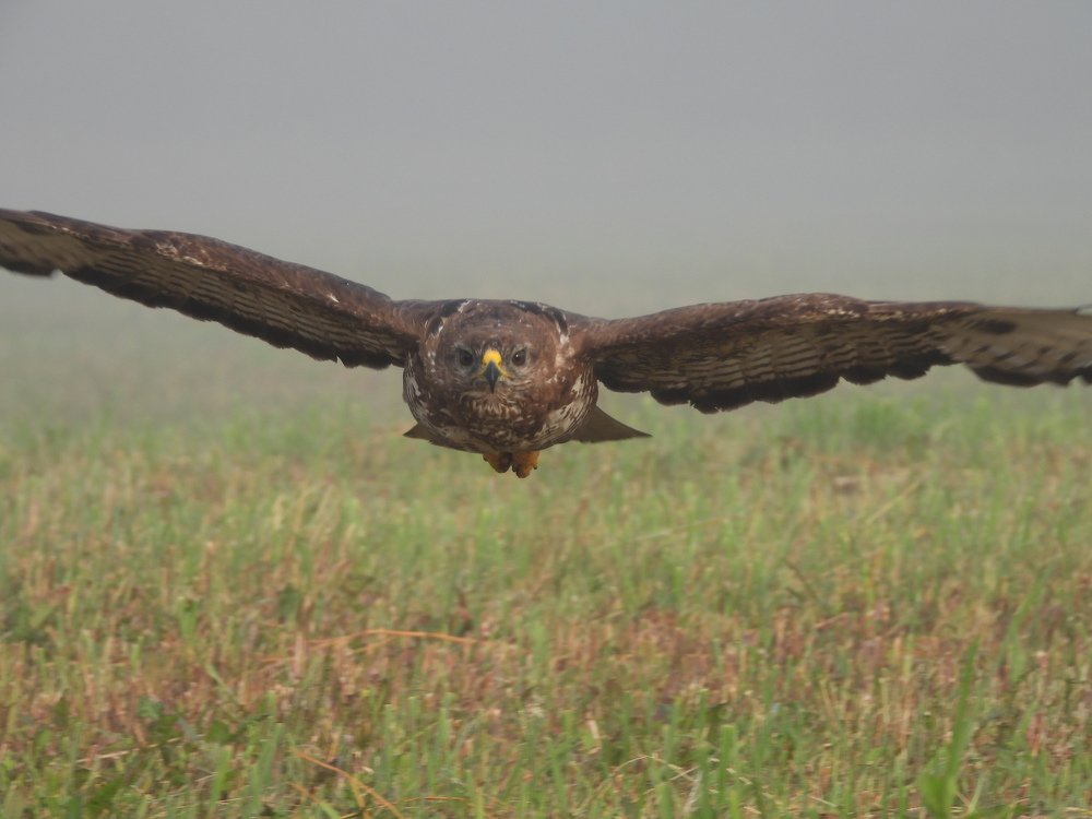 Photograph by Davorin Jurković