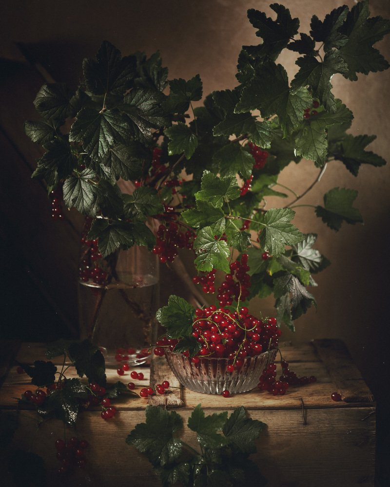 Photograph by Бабинцева Мария