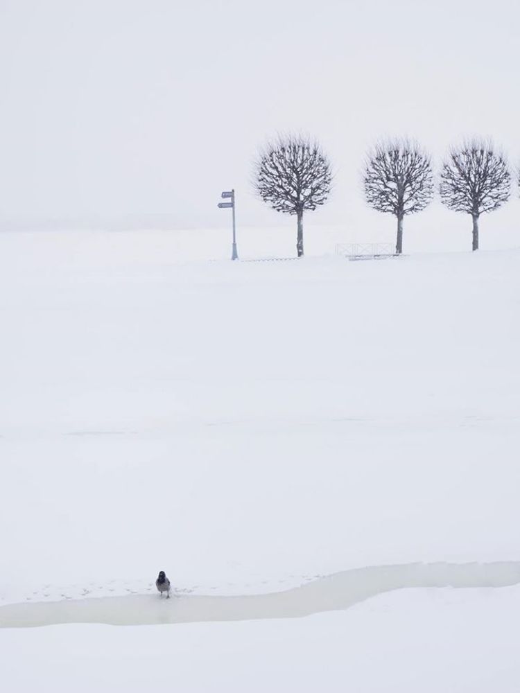 Photograph by Елена Курзина