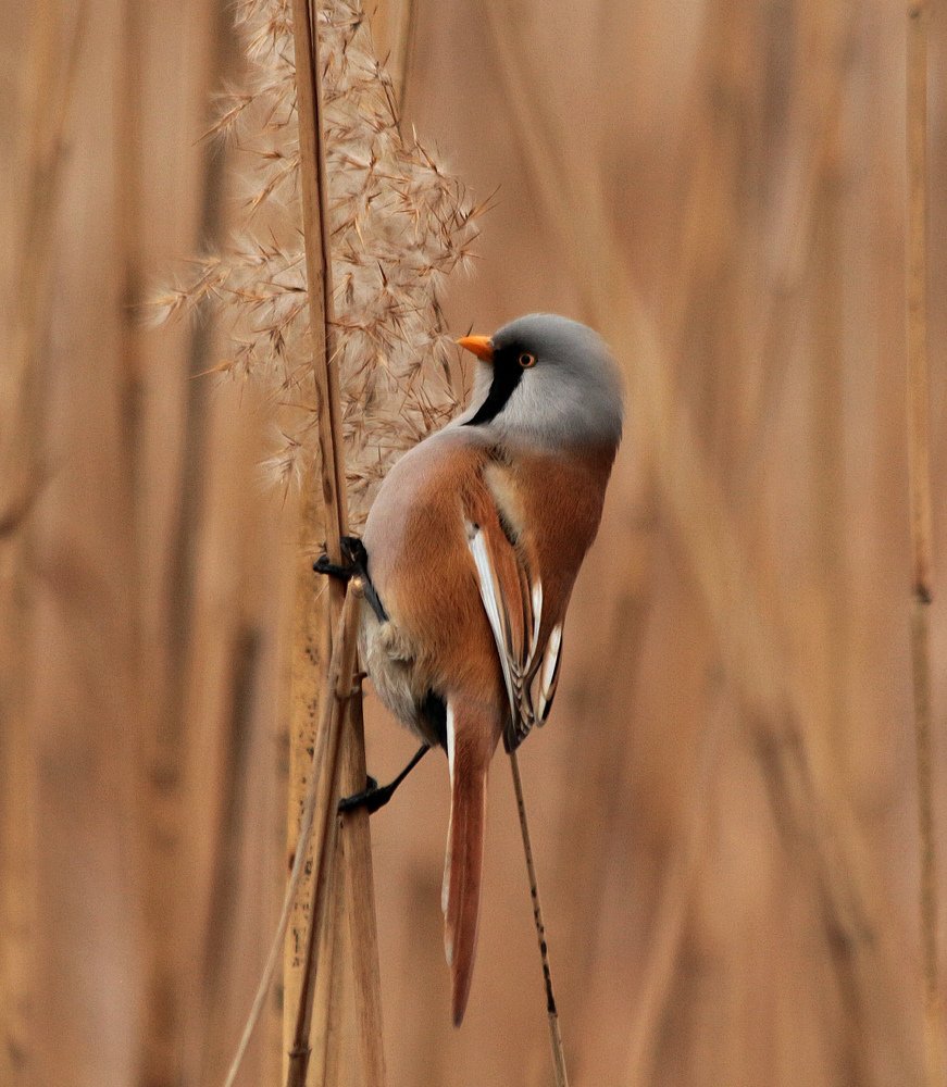 Photograph by Киселева Инесса