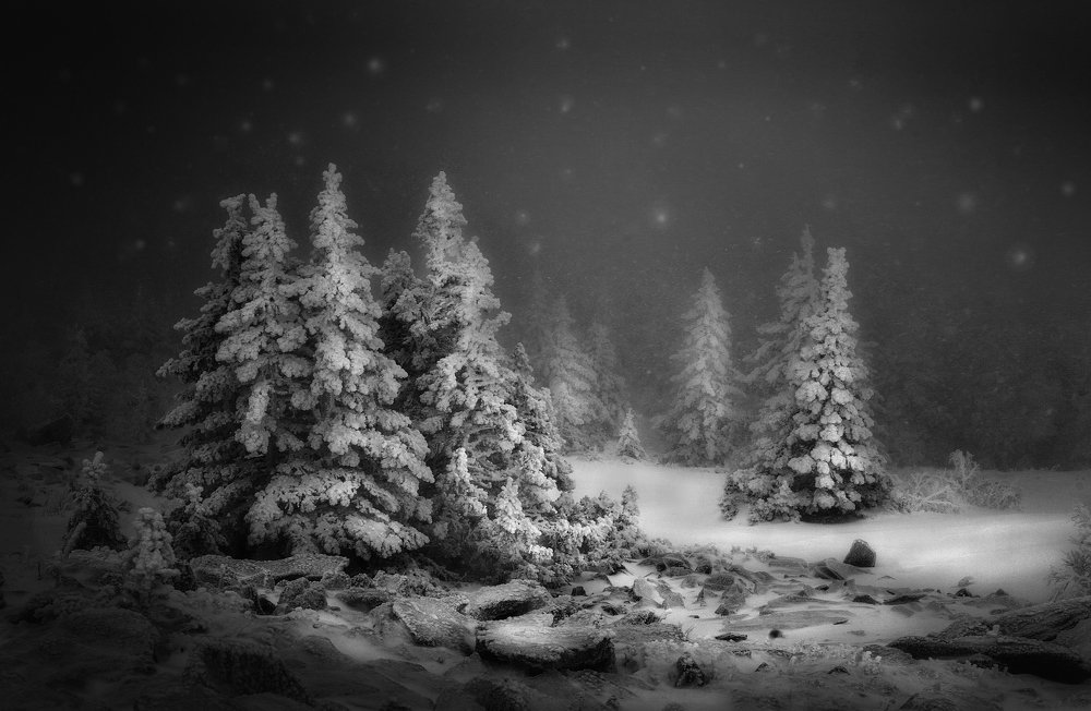 Photograph by Татьяна Бирюкова