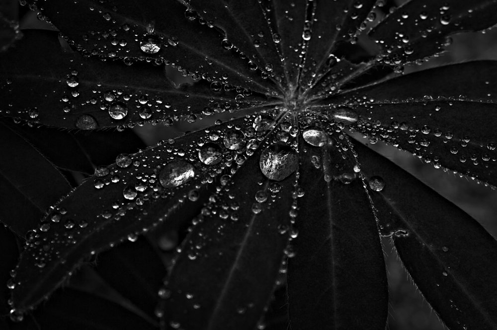 Photograph by Евгений Козлов