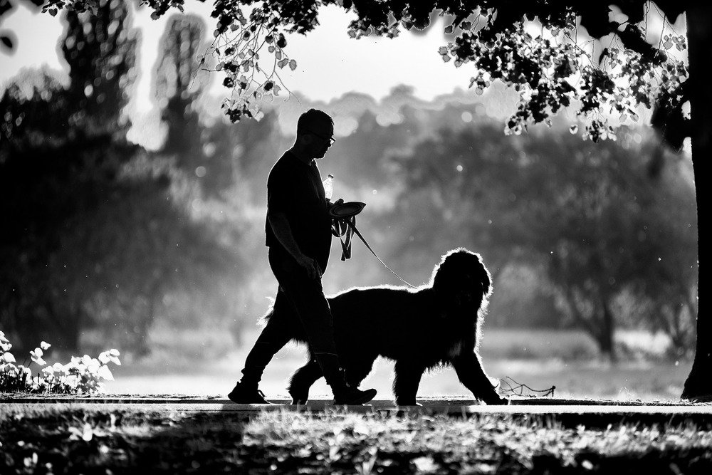 Фотография автора Юрий Юрьев