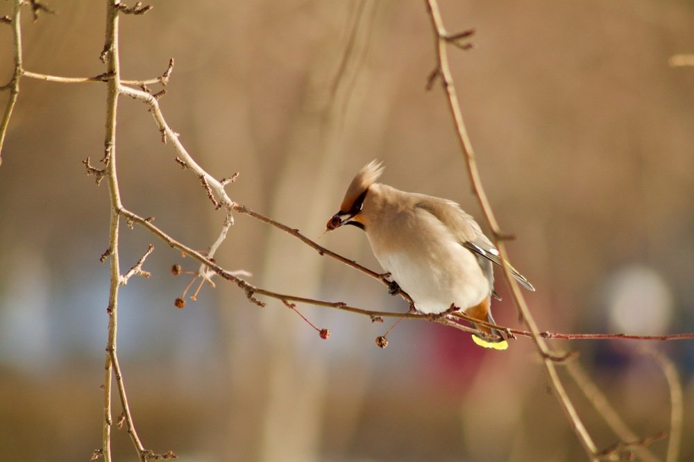 Photograph by Анастасия Полищук
