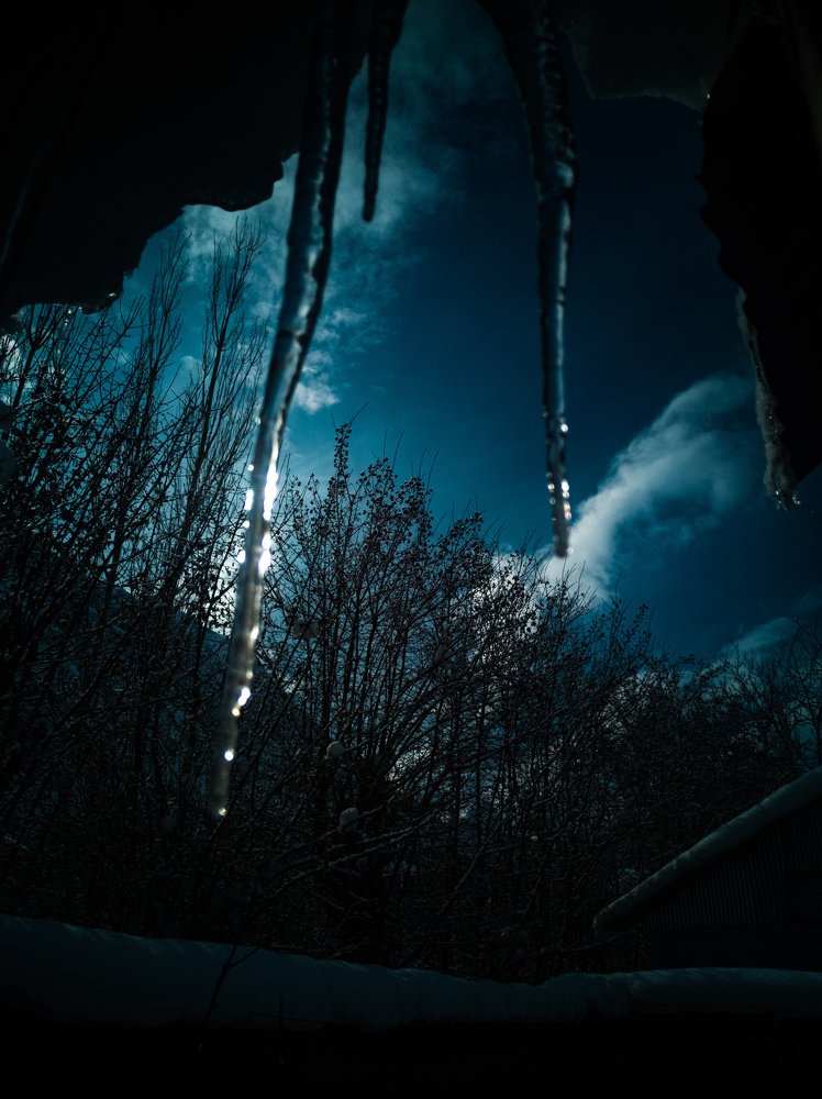 Photo #4214806