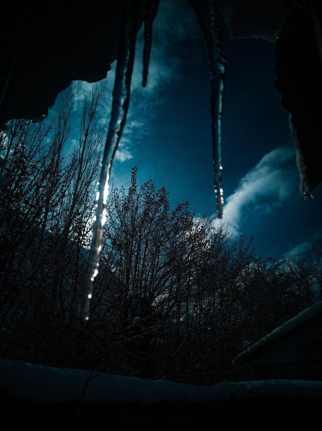 Photo #4214806