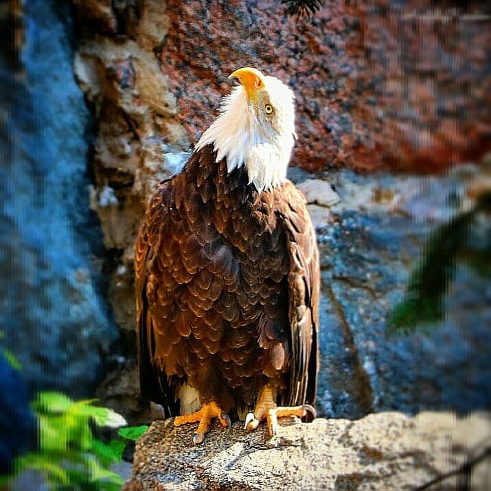 Photograph by Анатолий Касатов