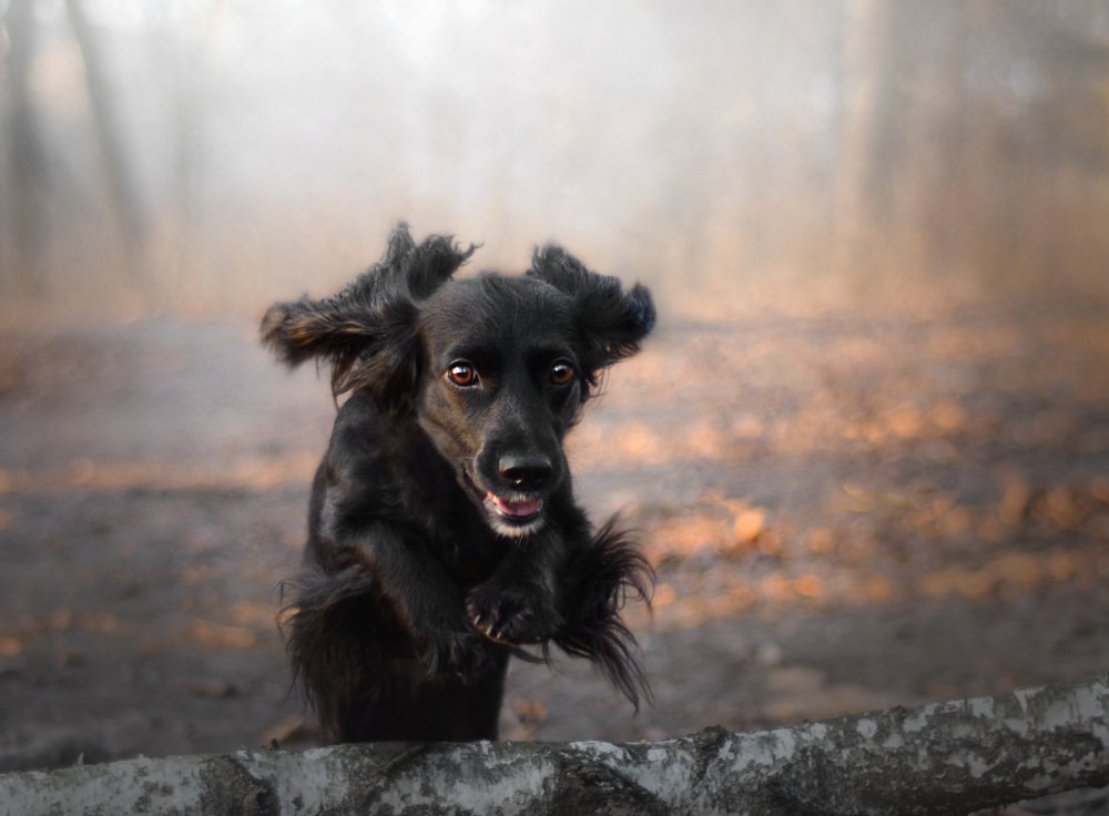 Photograph by Maryna