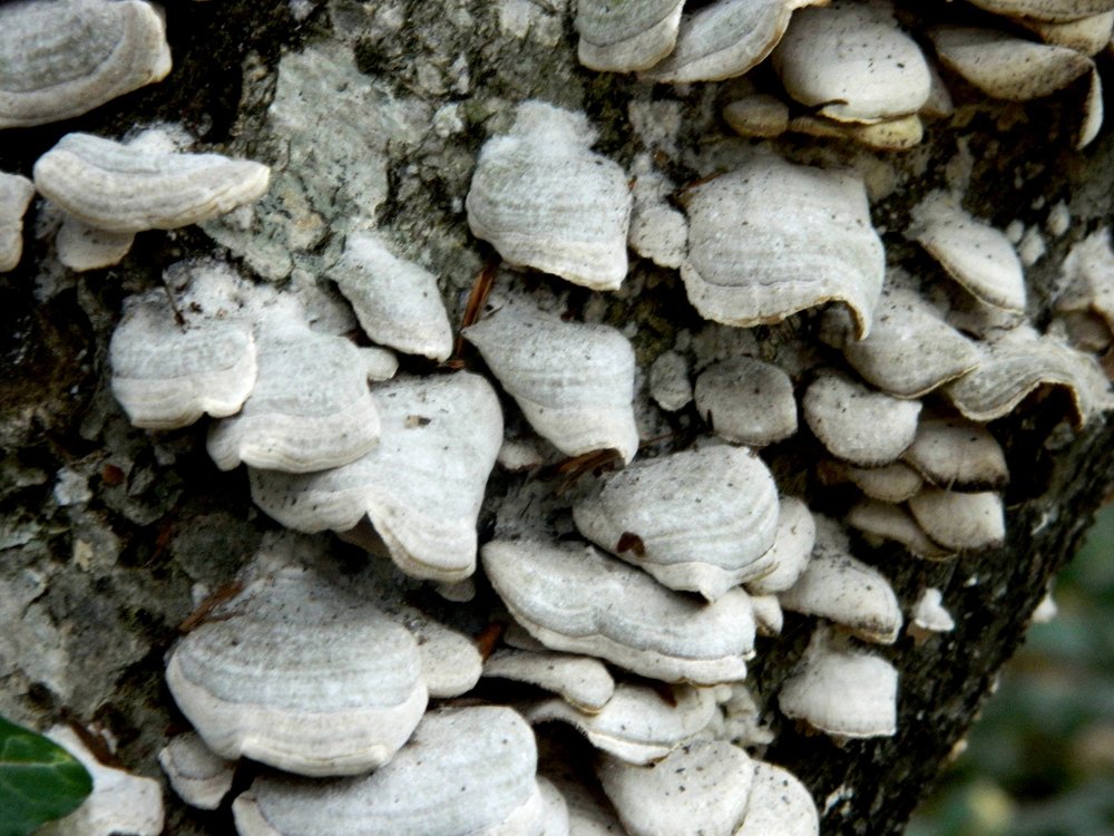 Photograph by Сергей Рапопорт