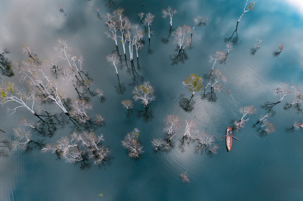 Isolation in the middle of the Autumn