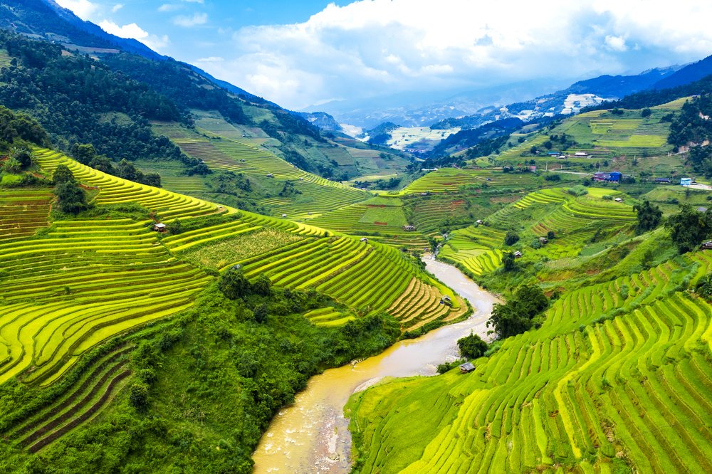 The art of farming - The rice terraced fields
