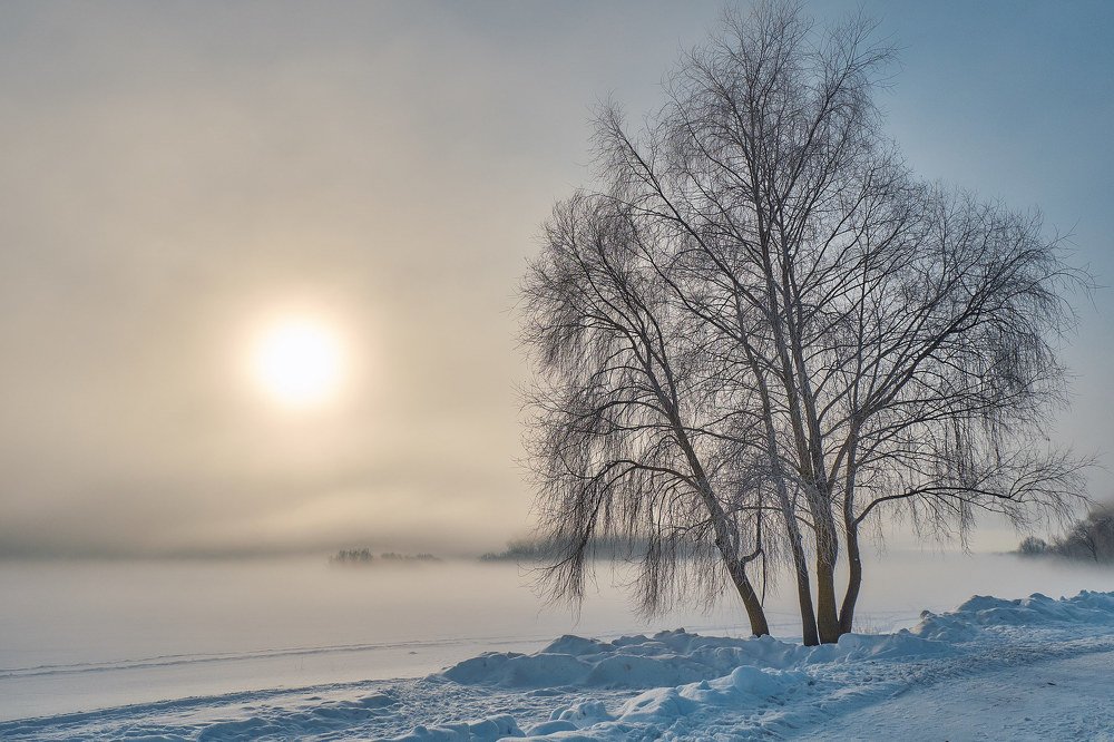 Photograph by Антон Каменский