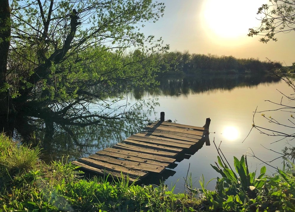 Photograph by Татьяна Пономарева