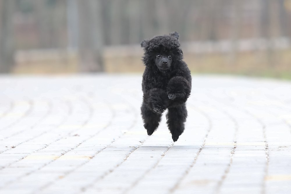 Photograph by Галина Ледок