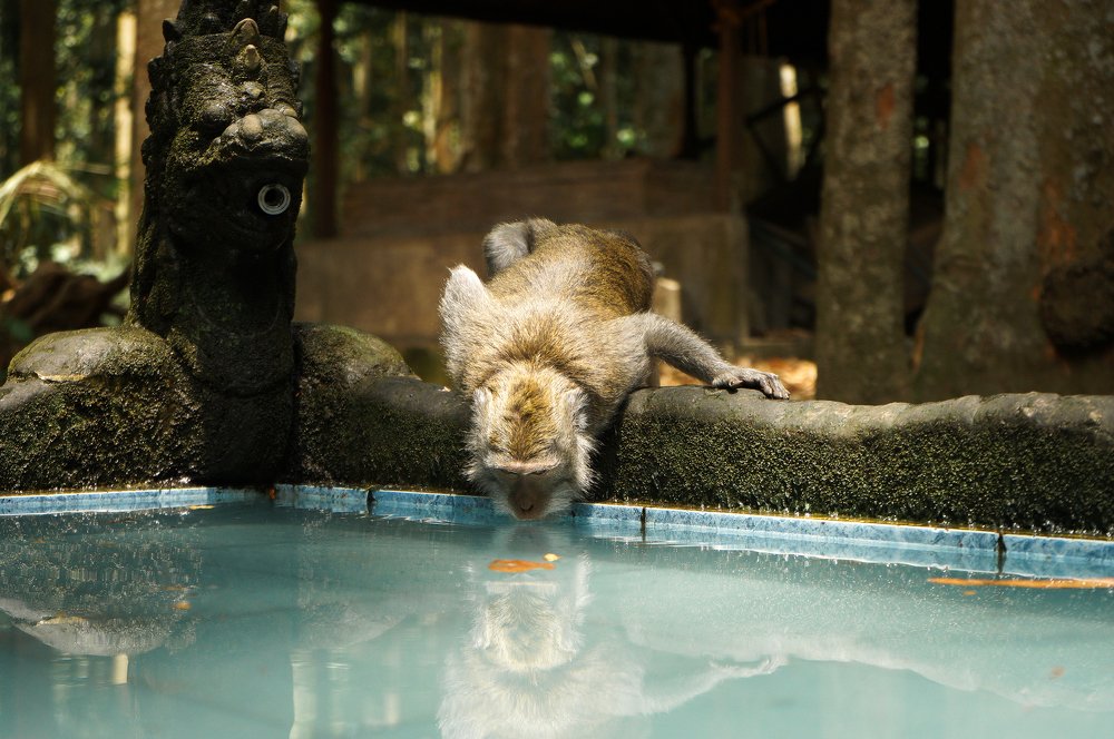 Photograph by Артём Исаев