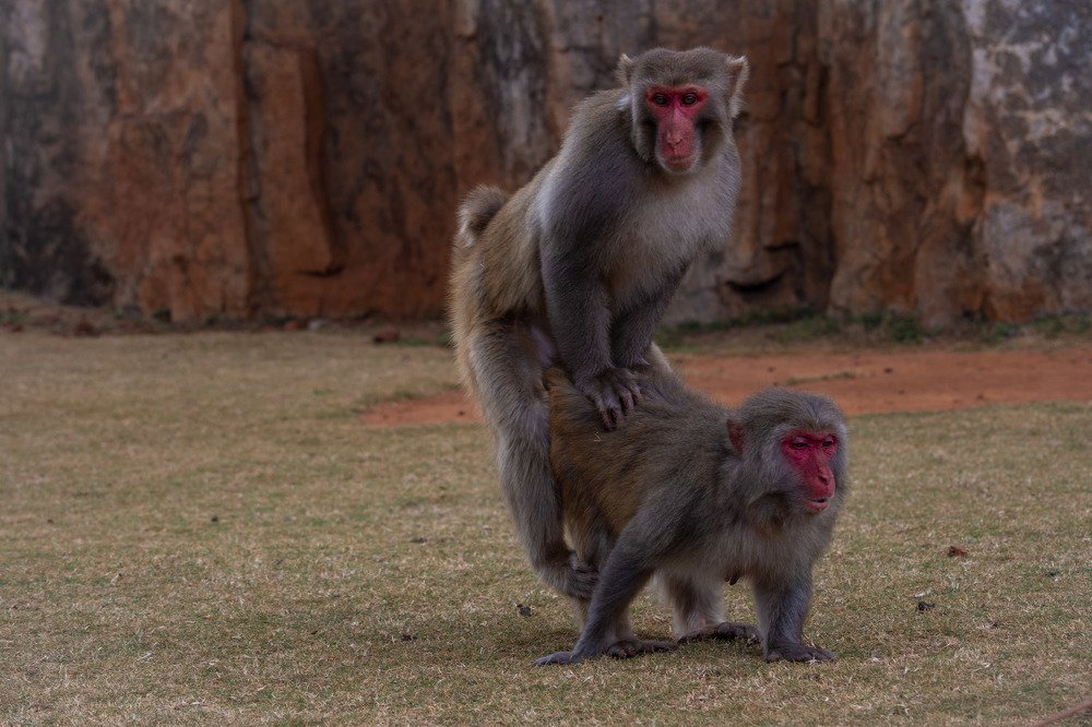 Photograph by Галина Канеева