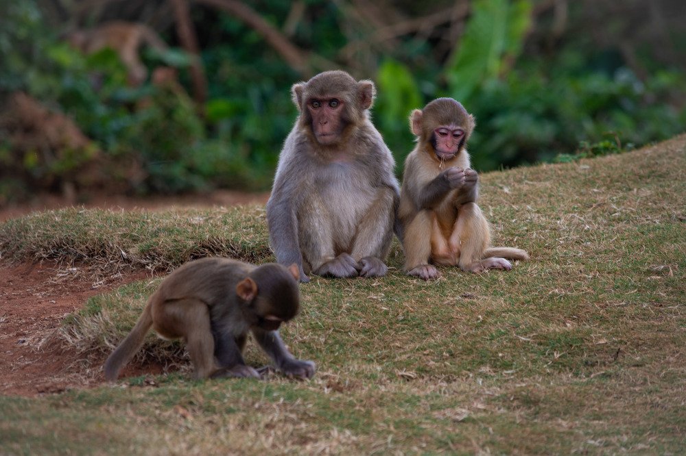 Photograph by Галина Канеева