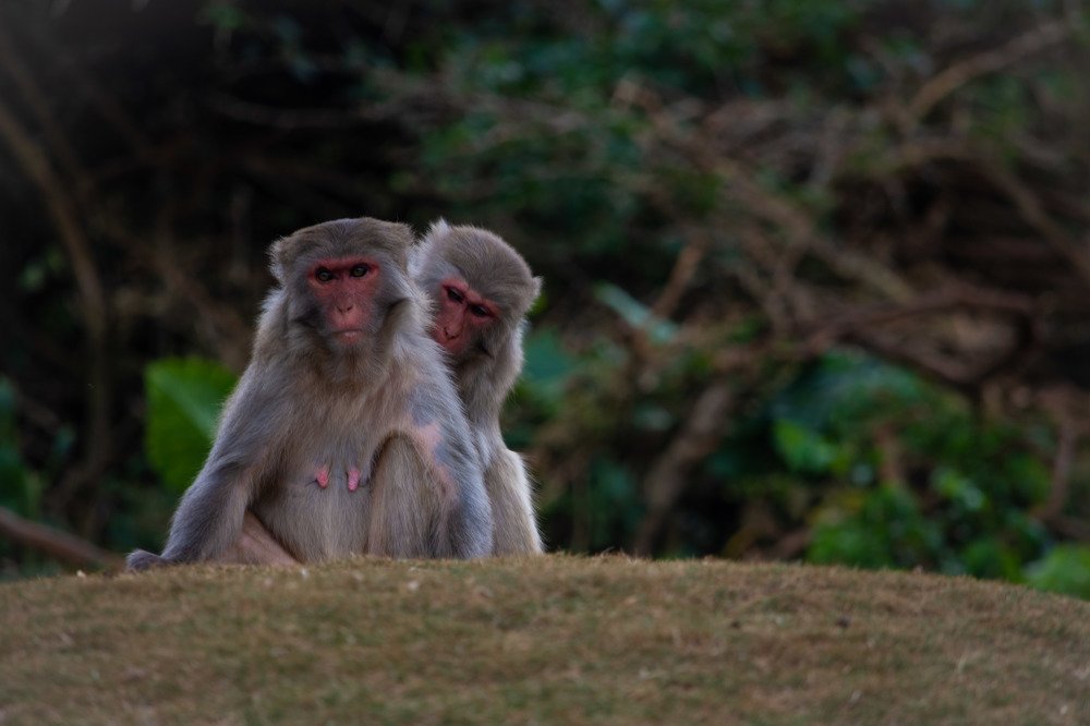 Photograph by Галина Канеева