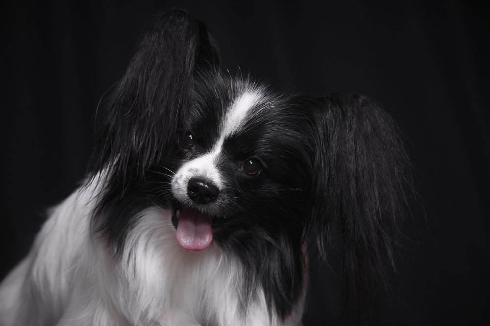 Photograph by Галина Ледок