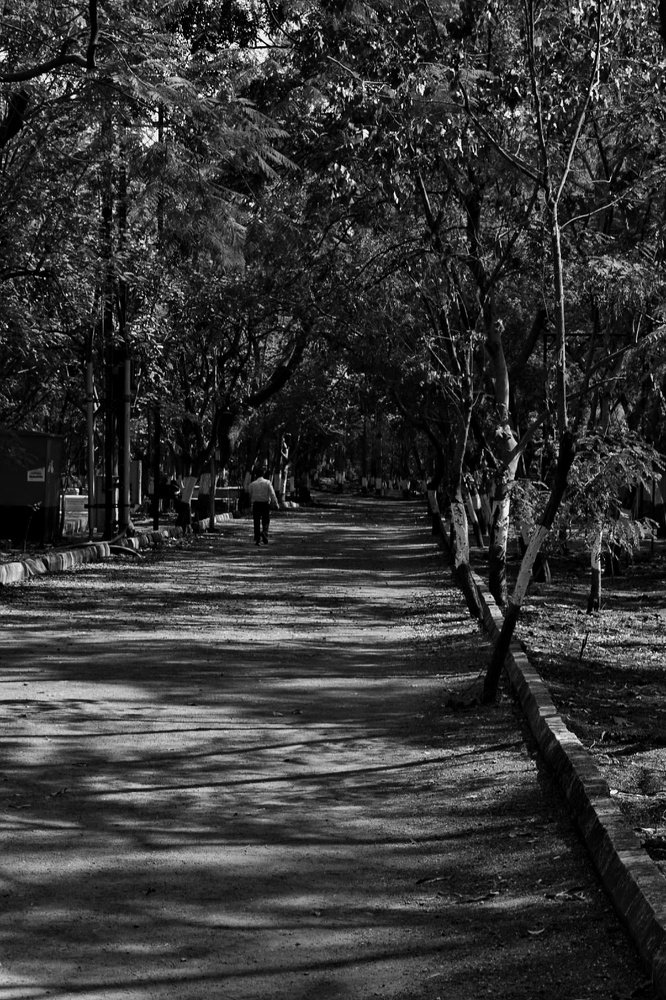 Photograph by Mihir Bokil