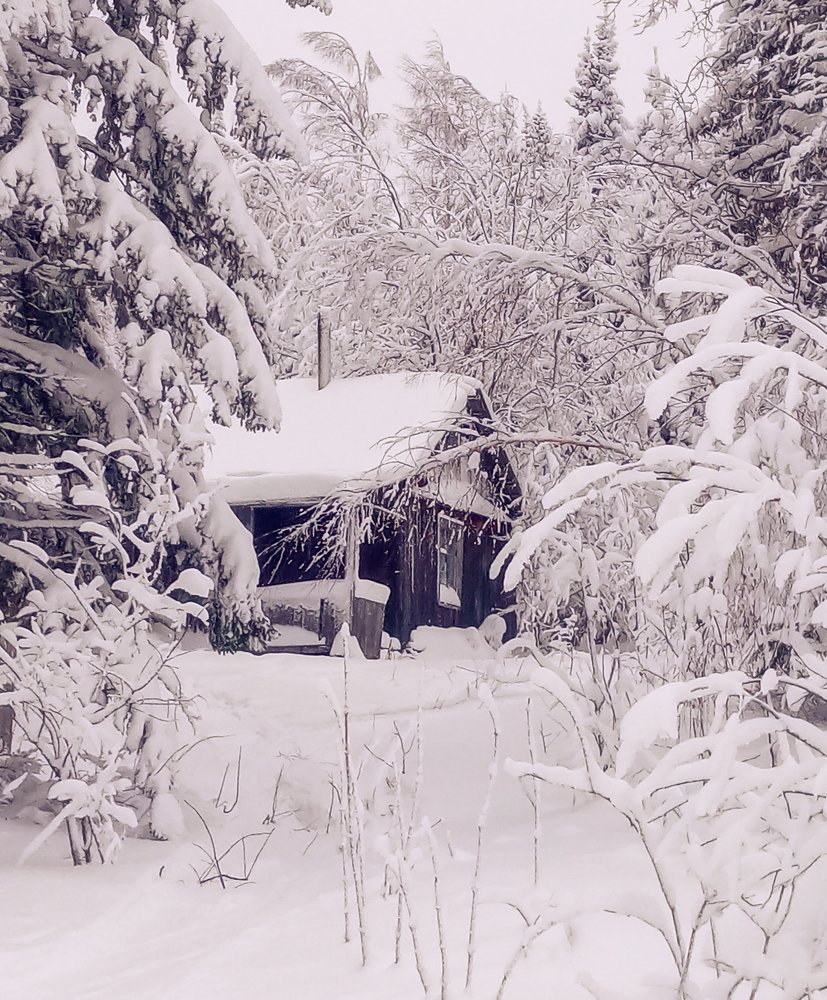 Photograph by Максим Фролов