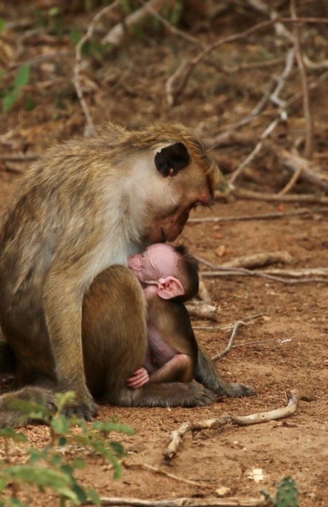 Photograph by Divya Dwaraknath