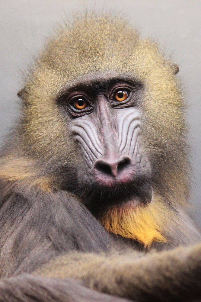 Photograph by Головина Ольга