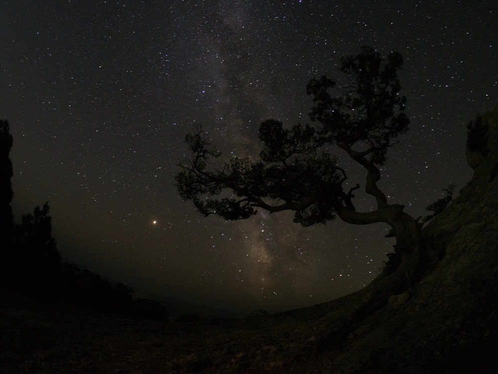 Photograph by Зайцева Катерина