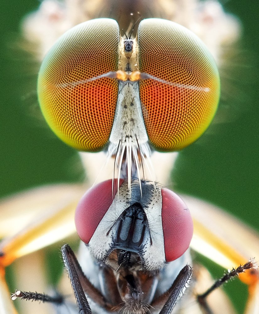 Photograph by Chuah Christopher