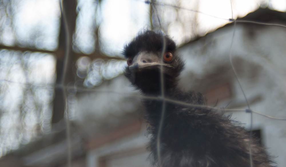 You look, but I see that your eyes are beautiful!